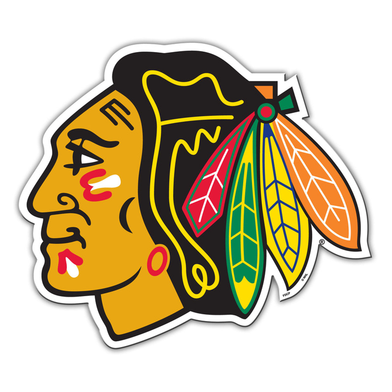 Chicago Blackhawks Magnet Car Style 12 Inch CO