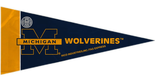 Michigan Wolverines Pennant Set Mini 8 Piece